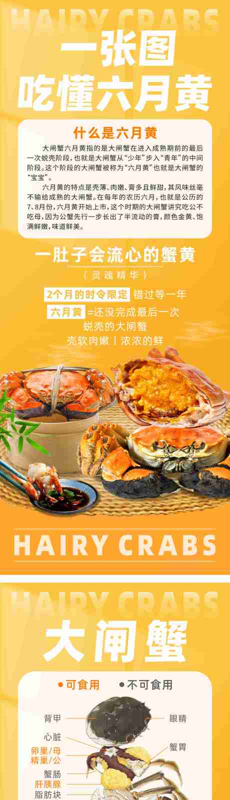 源文件下载【享设计】搜索编号：22750034298001633【六月黄大闸蟹尝鲜活动展架】