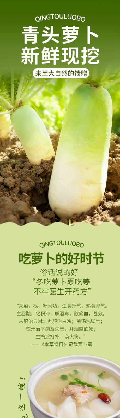 源文件下载【享设计】搜索编号：80970034368096236【绿色农产品萝卜果蔬菜详情】