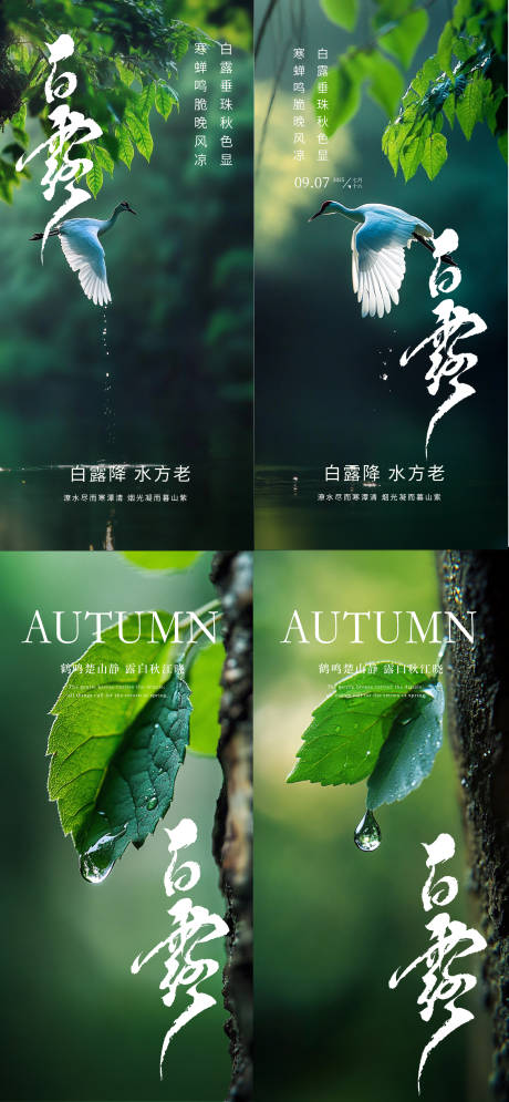 源文件下载【享设计】搜索编号：96840034635538516【白露节气海报】