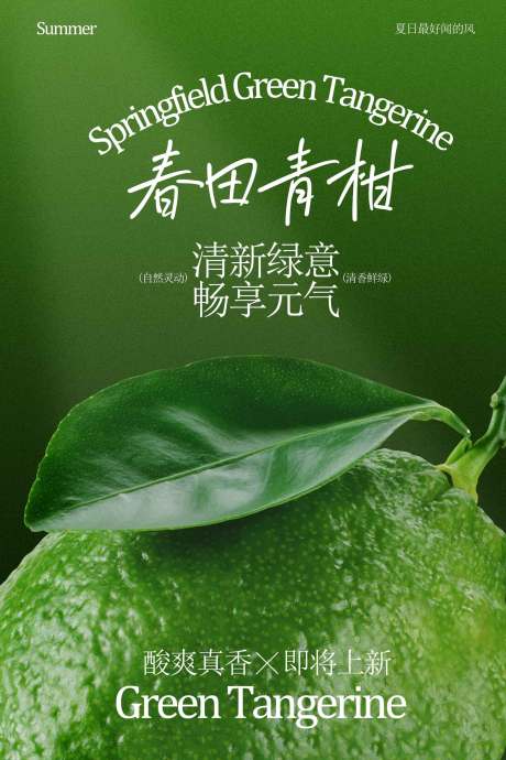 源文件下载【享设计】搜索编号：75570034829805782【青柠清新自然的诱惑海报】