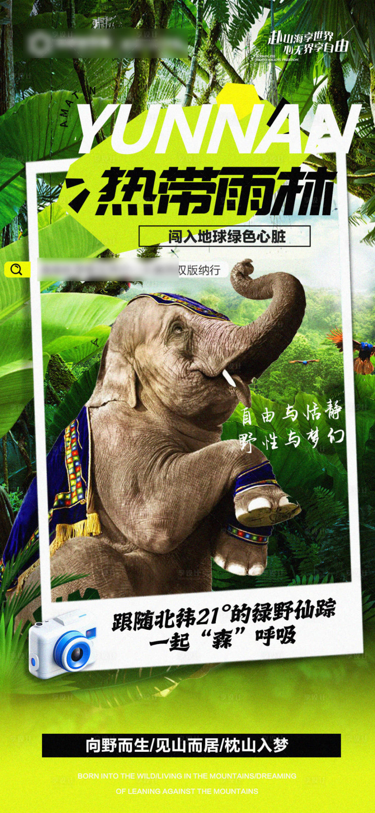 源文件下载【享设计】搜索编号：50800031456802488【西双版纳旅游海报】