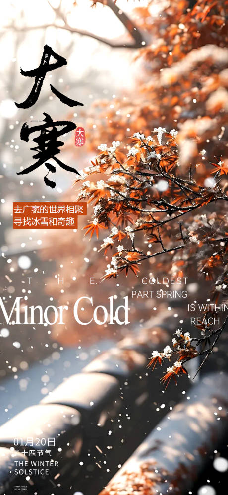 源文件下载【享设计】搜索编号：36770035024555015【大寒节气海报】