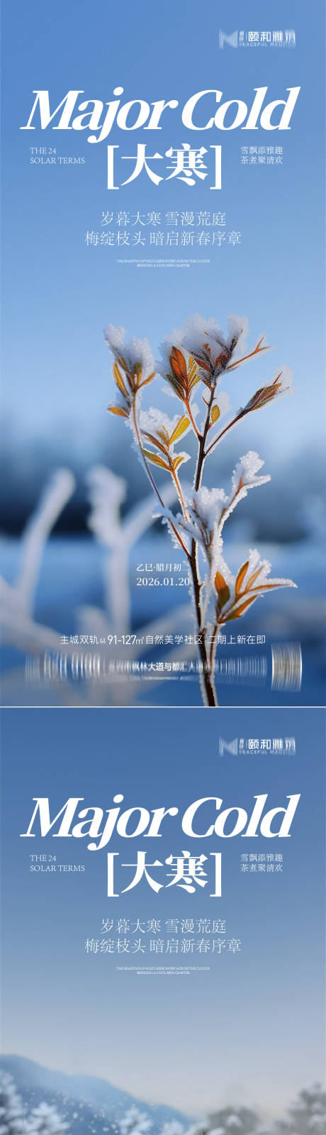 源文件下载【享设计】搜索编号：12600034998615693【大寒节气节日海报雪】
