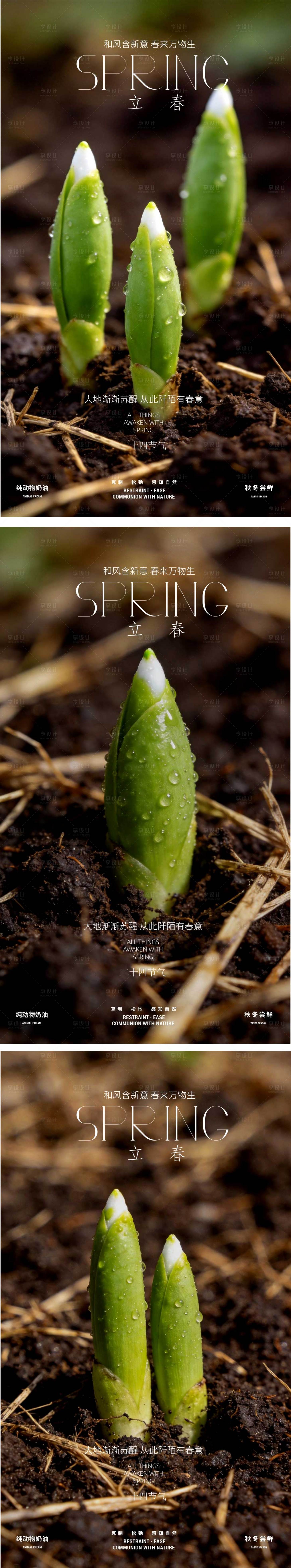 源文件下载【享设计】搜索编号：11110035303383477【立春发芽萌芽海报】