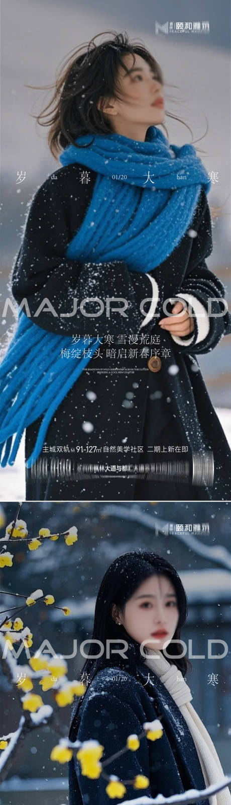 源文件下载【享设计】搜索编号：34290034998505555【大寒节气节日海报雪医美美容】