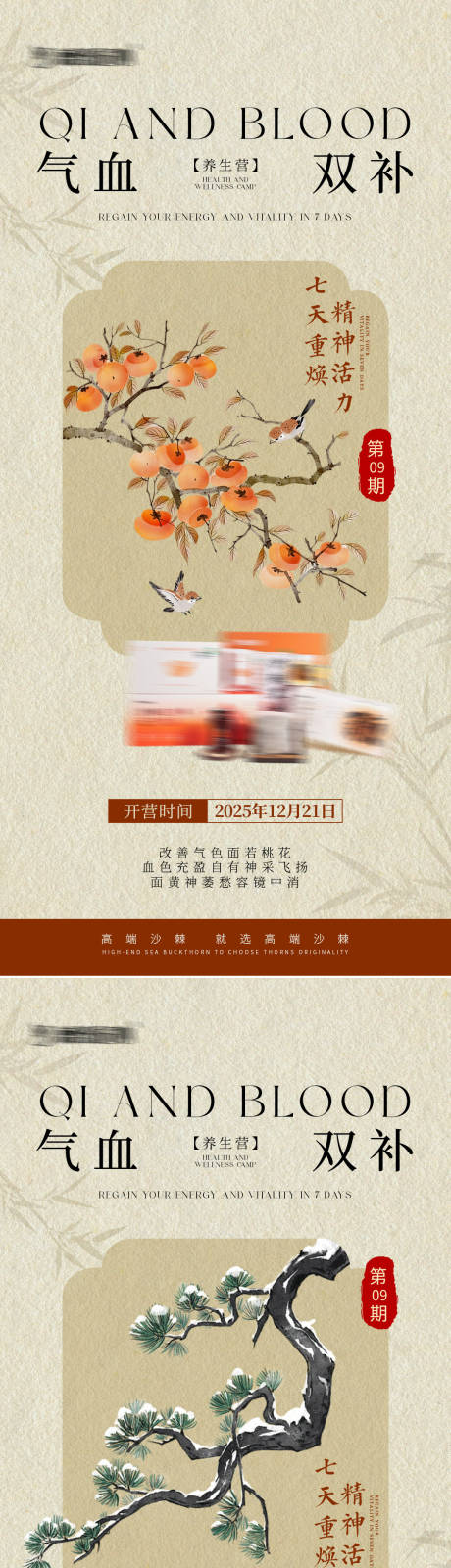 源文件下载【享设计】搜索编号：74520035020593033【气血养生宣传海报】