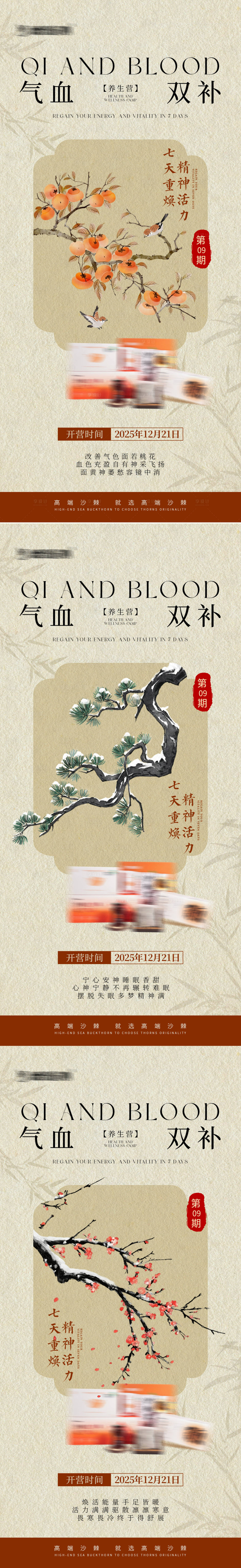 源文件下载【享设计】搜索编号：74520035020593033【气血养生宣传海报】