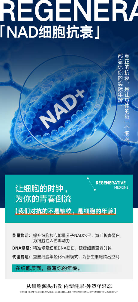 源文件下载【享设计】搜索编号：67820035172948965【NAD+细胞抗衰】
