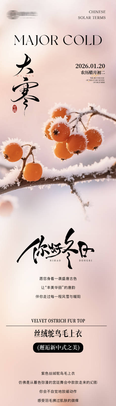 源文件下载【享设计】搜索编号：49030034974209232【二十四节气大寒小寒长图专题设计公众号】