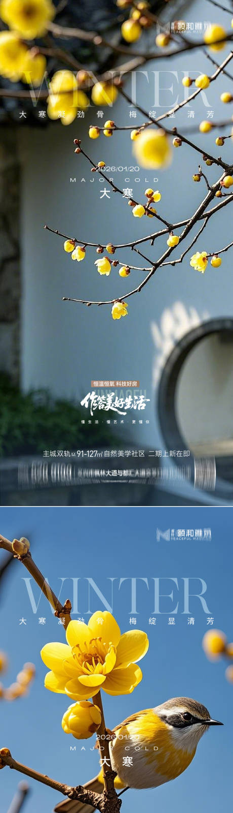 源文件下载【享设计】搜索编号：69240034998719846【大寒节气节日海报雪梅花腊梅】