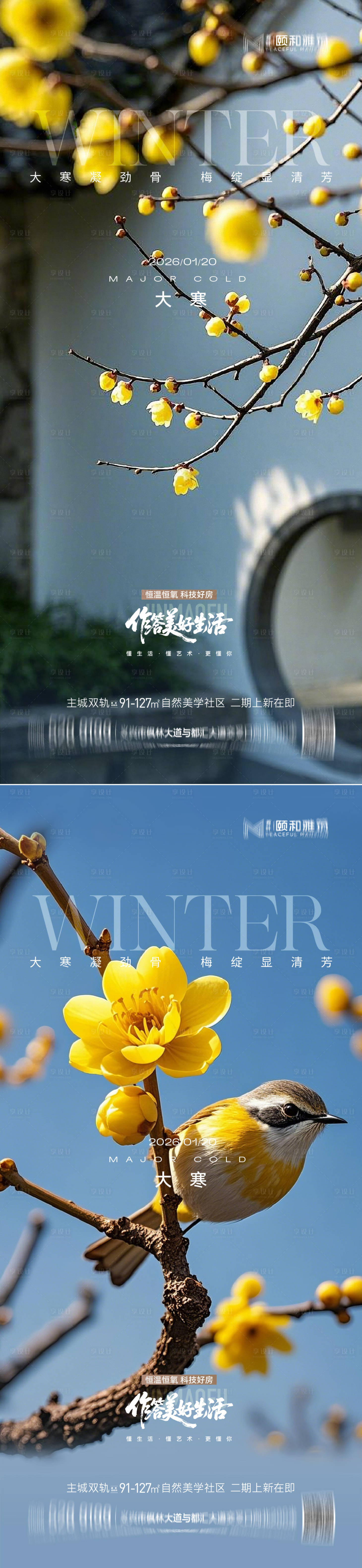 源文件下载【享设计】搜索编号：69240034998719846【大寒节气节日海报雪梅花腊梅】
