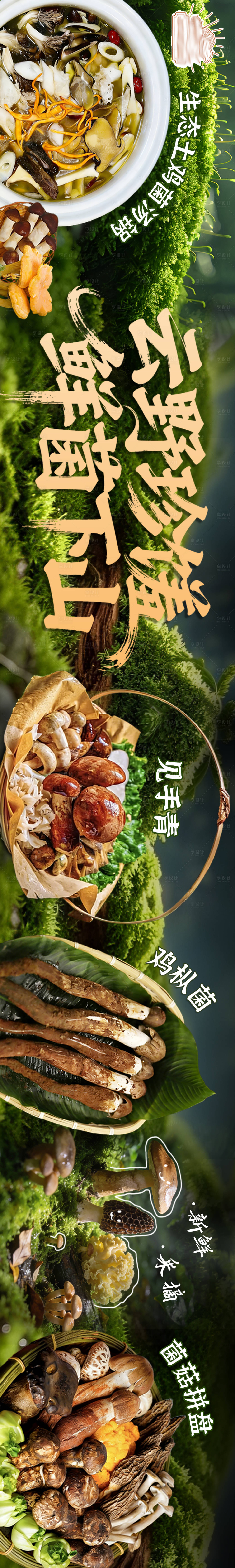 源文件下载【享设计】搜索编号：13550035023309591【菌菇五连图菜品图】