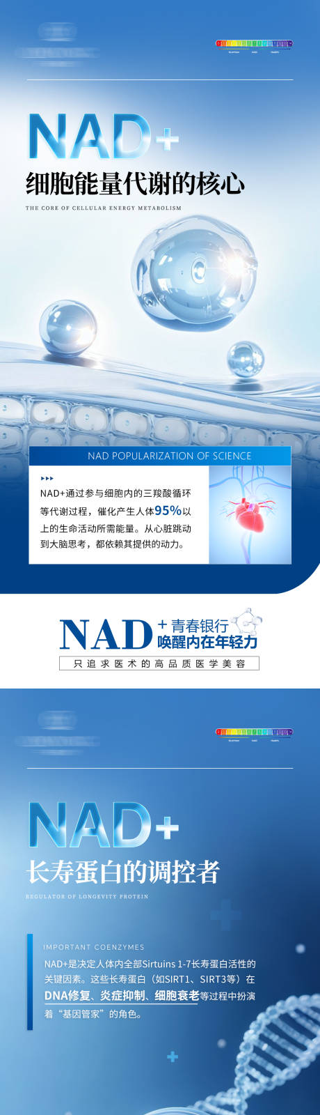 源文件下载【享设计】搜索编号：93860035062787608【NAD+科普海报】