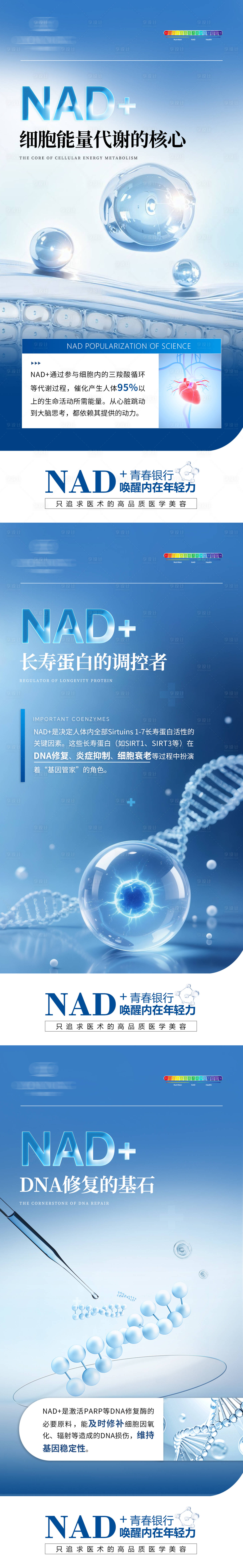 源文件下载【享设计】搜索编号：93860035062787608【NAD+科普海报】