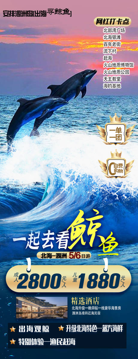 源文件下载【享设计】搜索编号：97020035238503156【海景旅游海报看鲸鱼】