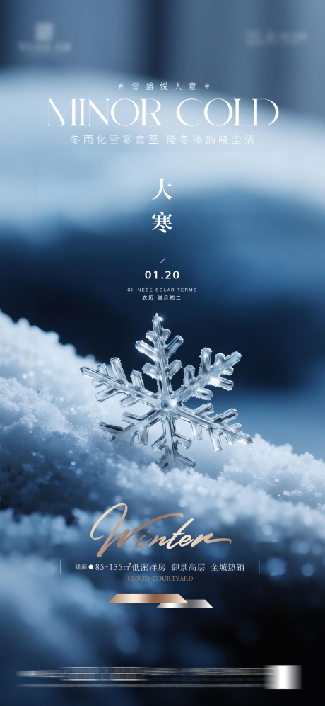 源文件下载【享设计】搜索编号：93690034871791341【地产大寒质感节气海报】