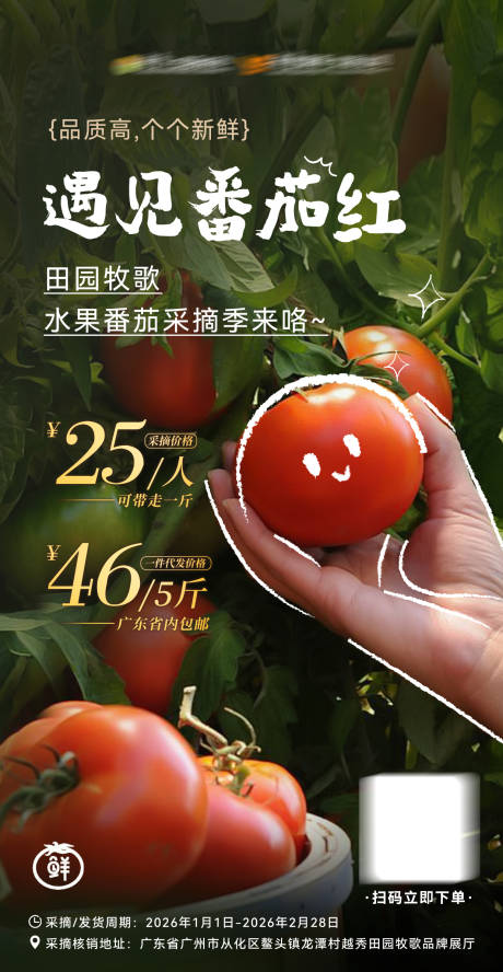 源文件下载【享设计】搜索编号：20640034914007969【田园番茄手绘采摘海报】