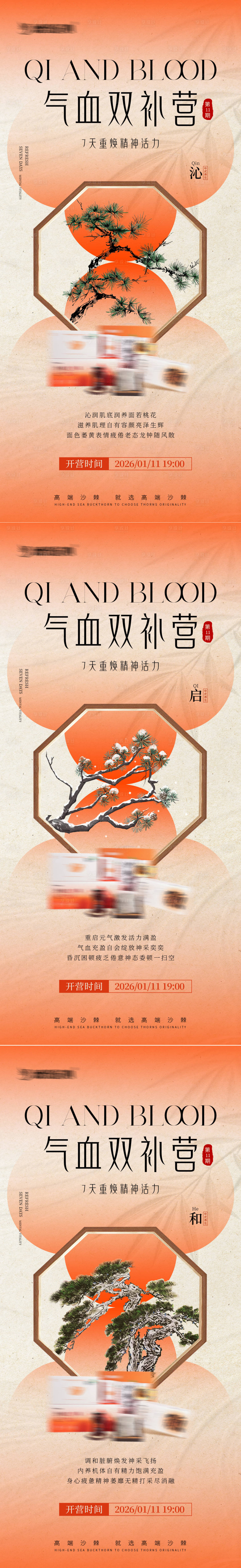 源文件下载【享设计】搜索编号：66210035061027711【气血养生宣传海报】