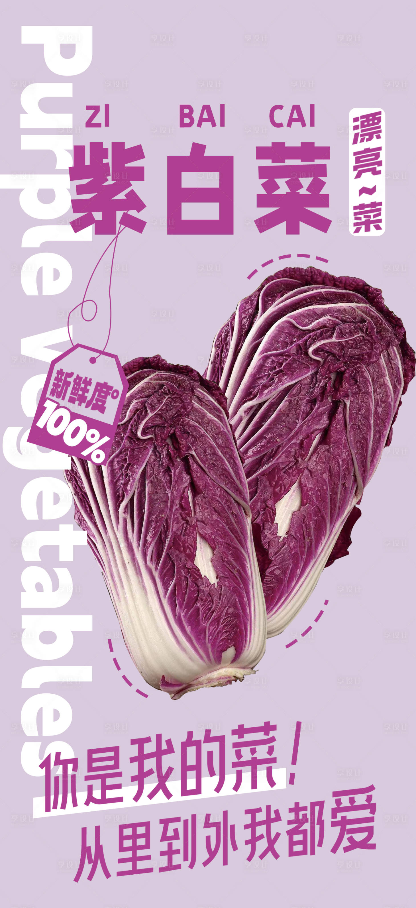 源文件下载【享设计】搜索编号：65380035129809765【蔬菜紫白菜海报】
