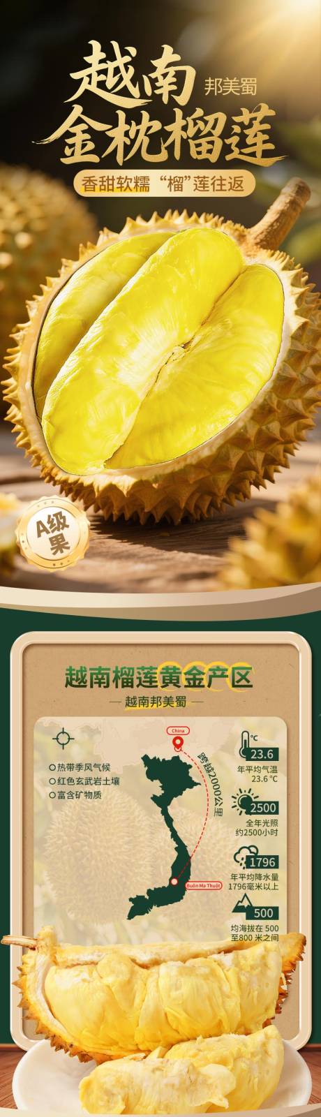 源文件下载【享设计】搜索编号：68370035229162123【越南金枕榴莲生鲜热带水果食品详情页】