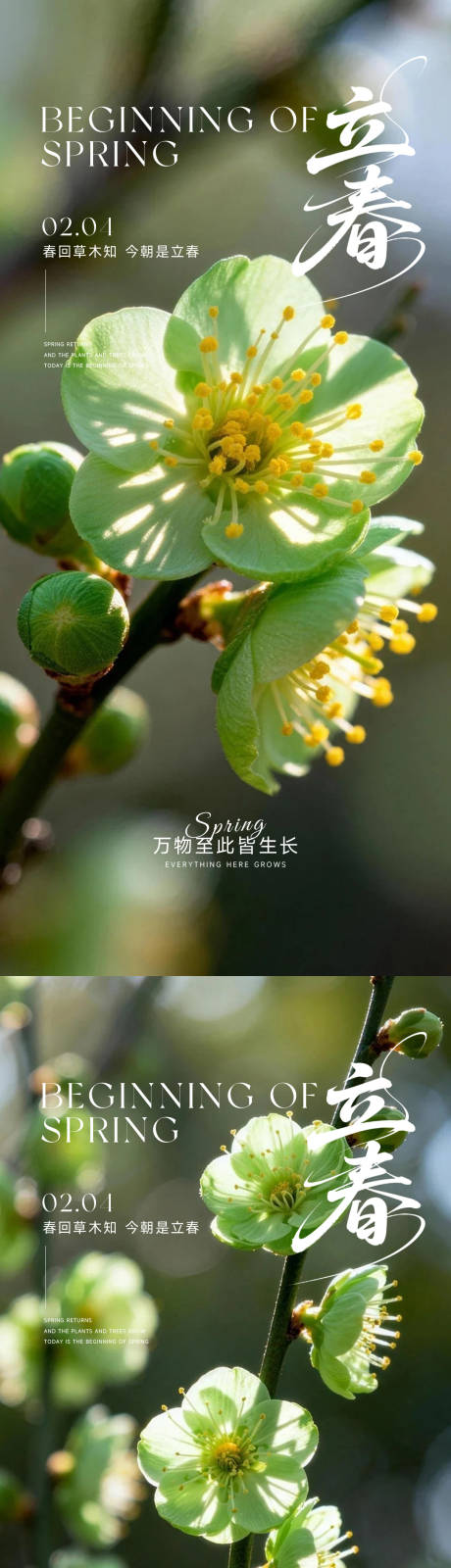 源文件下载【享设计】搜索编号：57650035083944238【立春雨水惊蛰春分】