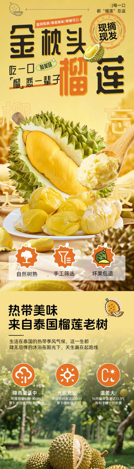 源文件下载【享设计】搜索编号：90230034953329846【泰国榴莲】