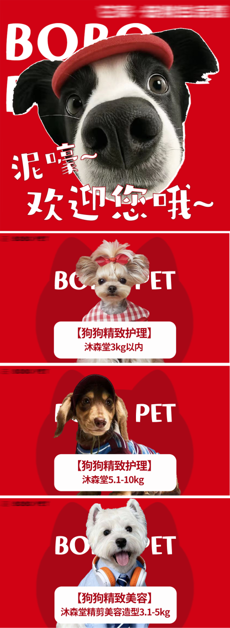 源文件下载【享设计】搜索编号：44910034963463521【宠物头图入口图团单图】