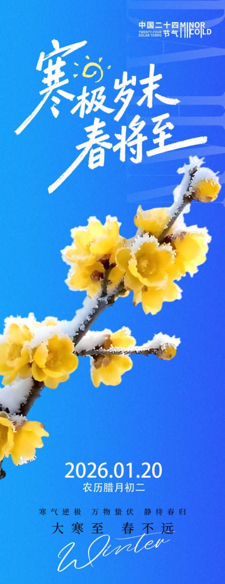 源文件下载【享设计】搜索编号：55260034851406213【大寒节气黄色腊梅海报】