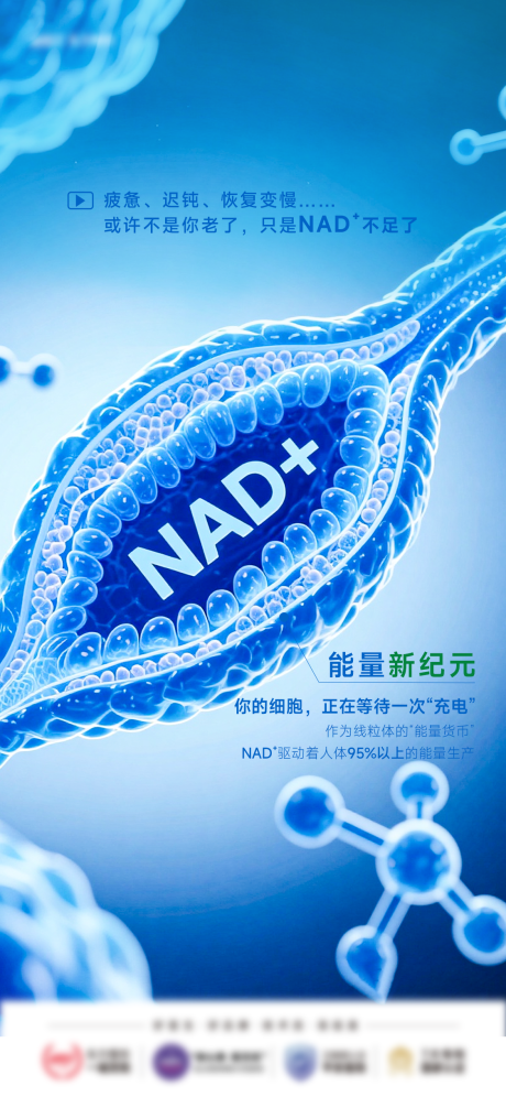 源文件下载【享设计】搜索编号：51320034993804101【NAD+】