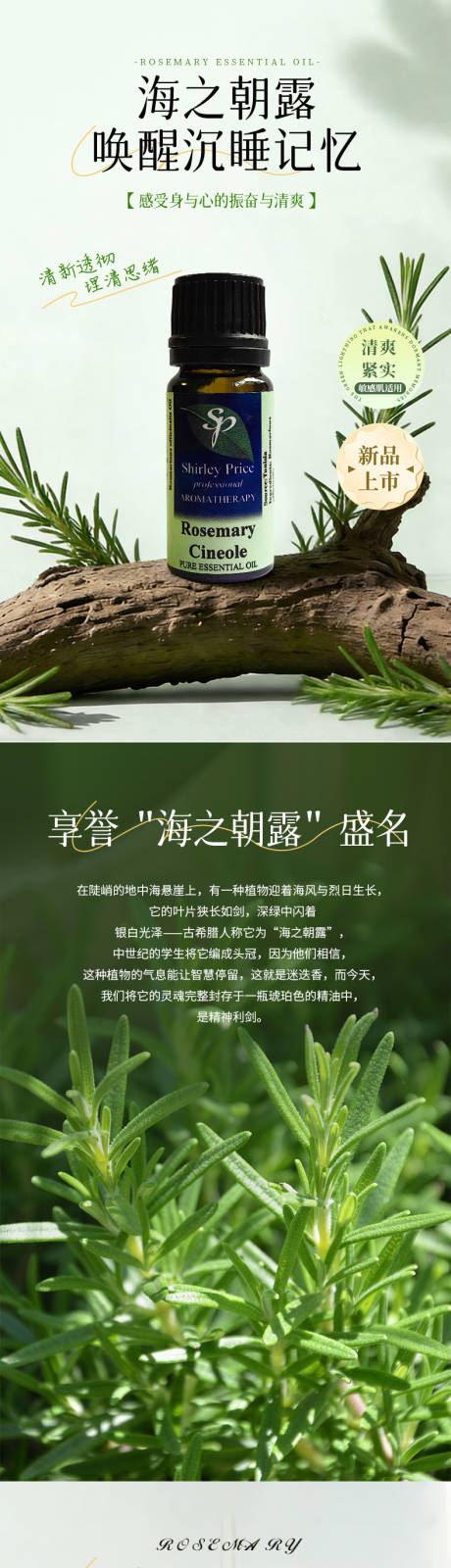 源文件下载【享设计】搜索编号：87570035247731883【迷迭香精油详情页】