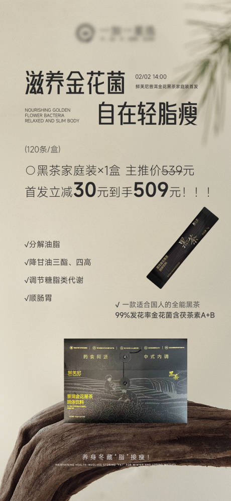 源文件下载【享设计】搜索编号：71380035302887905【黑茶茶饮产品海报】