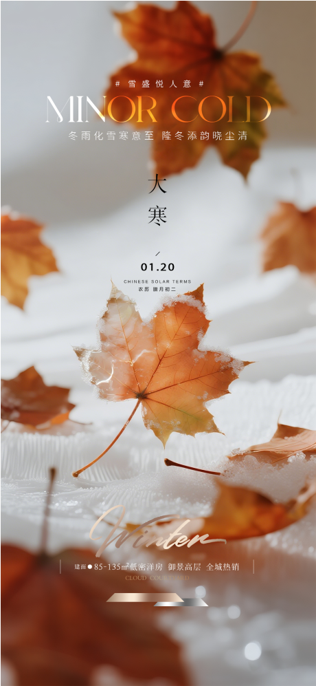 源文件下载【享设计】搜索编号：13610034889331038【大寒节气海报】