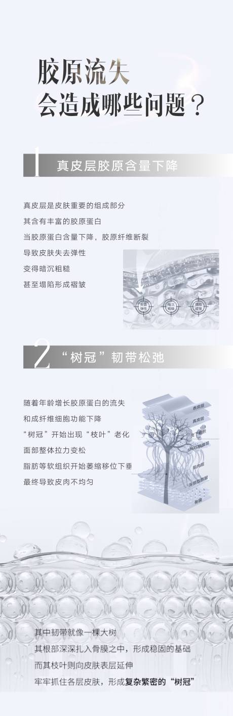 源文件下载【享设计】搜索编号：28120035065131107【胶原蛋白 】