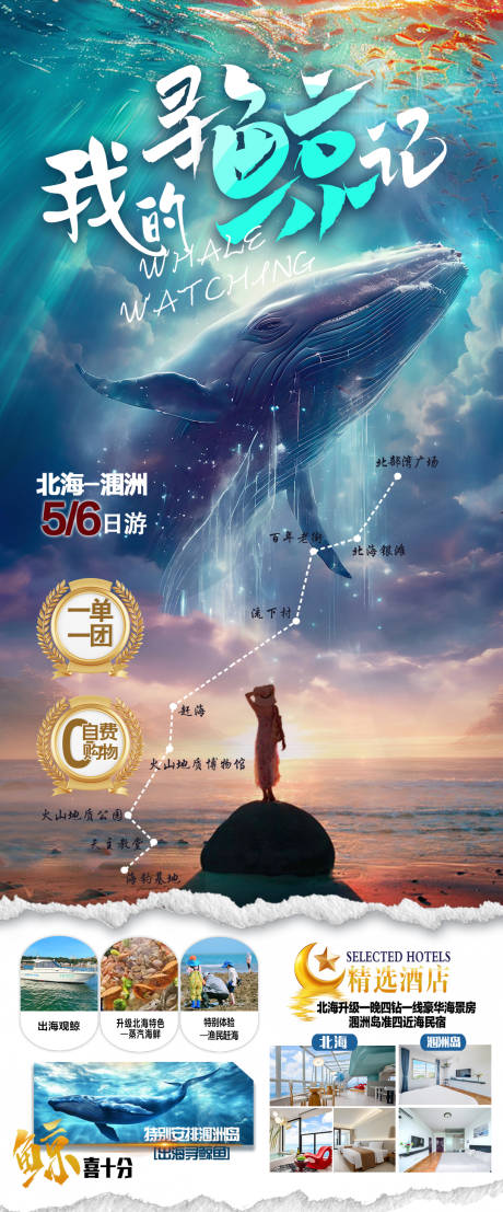 源文件下载【享设计】搜索编号：69930035220799273【寻鲸记海景旅游海报】