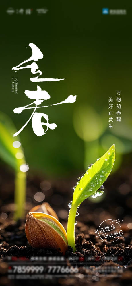 源文件下载【享设计】搜索编号：84170035073467728【立春】