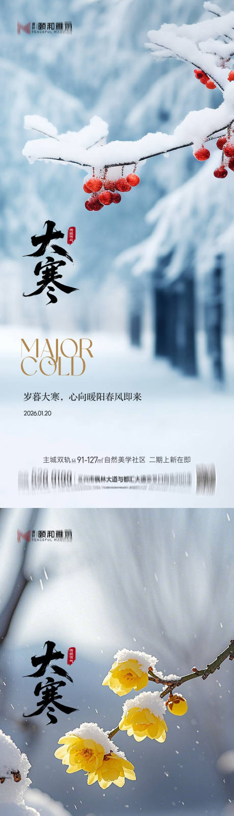 源文件下载【享设计】搜索编号：75950034998979638【大寒节气节日海报雪煮茶】