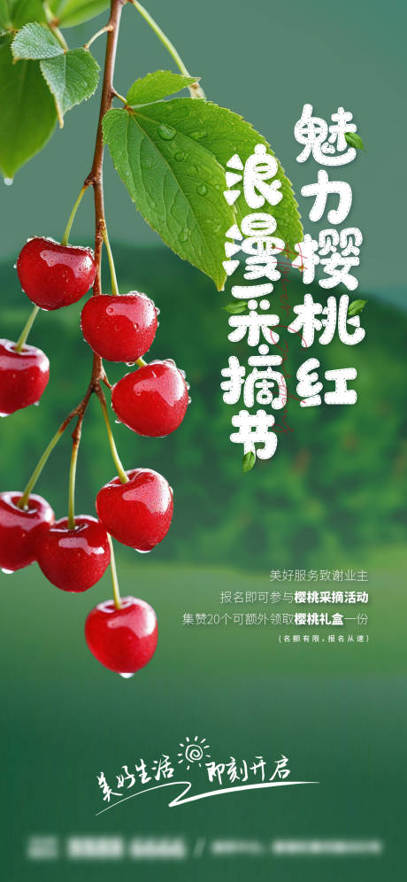 源文件下载【享设计】搜索编号：22090035051439121【樱桃采摘海报】