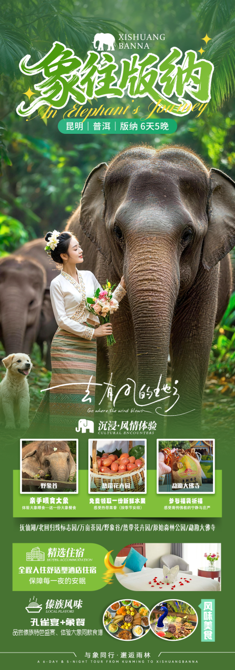 源文件下载【享设计】搜索编号：59640034908201684【象往版纳昆版旅游海报】