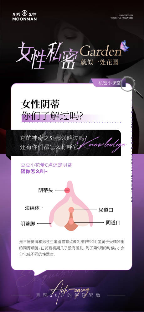 源文件下载【享设计】搜索编号：88080035259586510【私密科普海报】