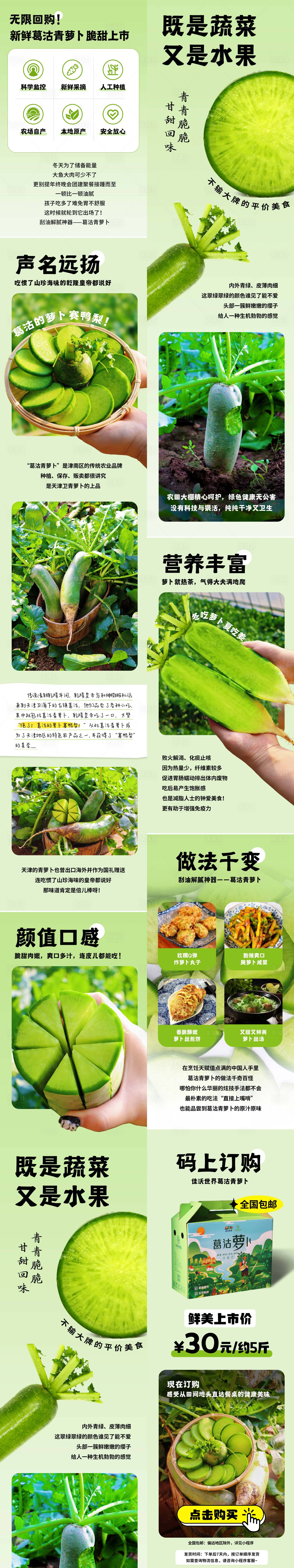 源文件下载【享设计】搜索编号：67660035117853923【绿色农产品萝卜上新详情长图】