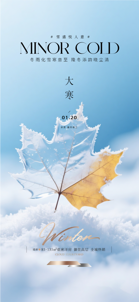源文件下载【享设计】搜索编号：67360034861551413【大寒质感节气海报】