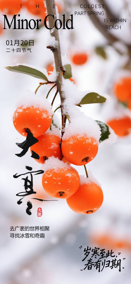 源文件下载【享设计】搜索编号：32250035012774571【大寒海报】