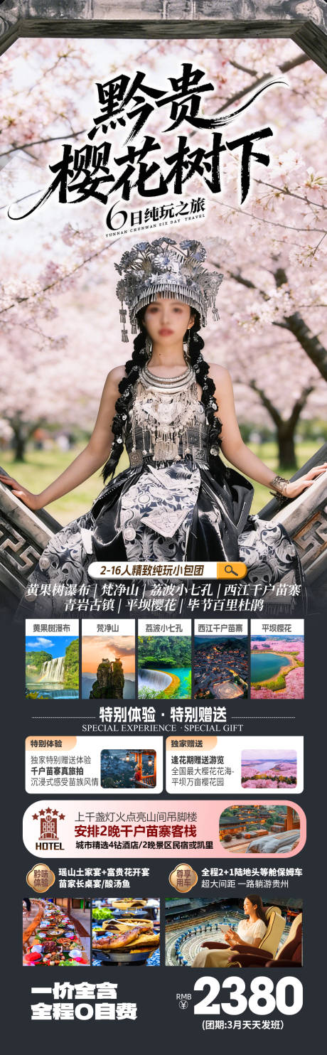 源文件下载【享设计】搜索编号：77260035251282377【贵州春季樱花旅游海报】