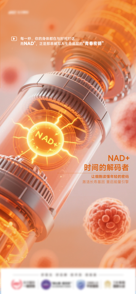 源文件下载【享设计】搜索编号：53970034993755675【NAD+】
