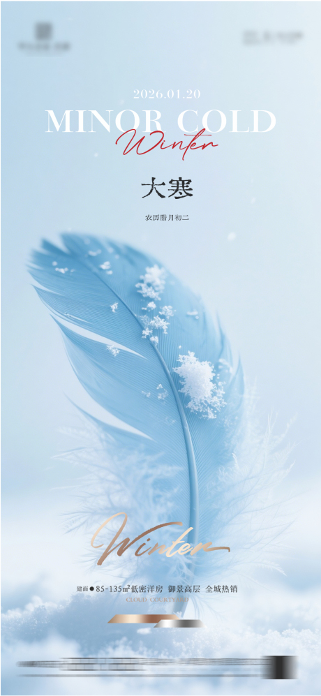 源文件下载【享设计】搜索编号：33330034876016415【大寒质感节气海报】