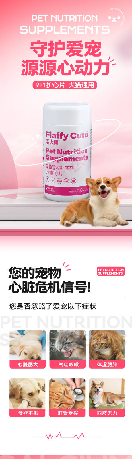 源文件下载【享设计】搜索编号：22610035229978669【宠物用品详情】