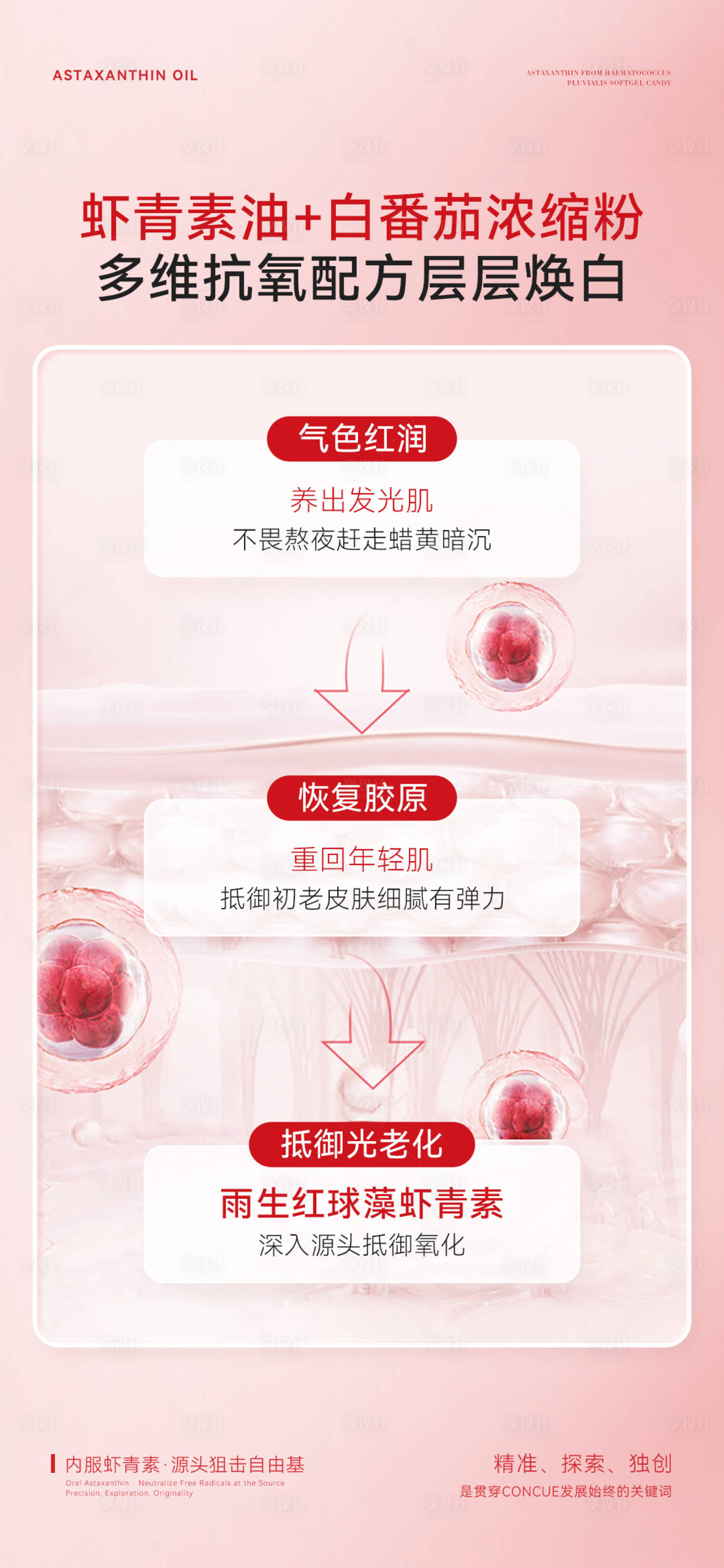 源文件下载【享设计】搜索编号：83690035193433246【雨生红球藻虾青产品宣传海报】