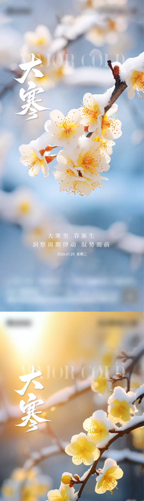 源文件下载【享设计】搜索编号：16930034952518274【地产节气大寒】