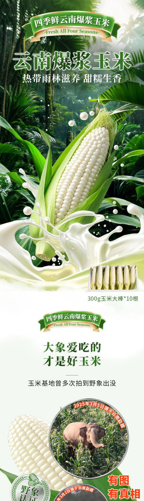 源文件下载【享设计】搜索编号：42140034844457735【爆浆玉米详情页】