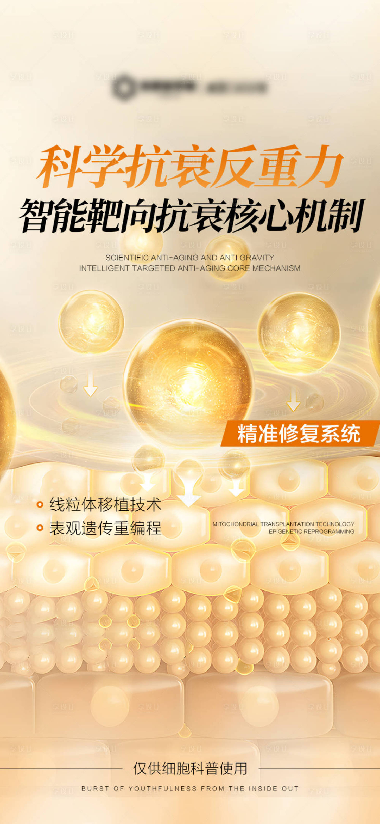 源文件下载【享设计】搜索编号：33610031515063455【抗衰黄色产品功效海报】